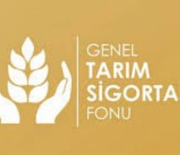 Şap hastalığı tazminatları ödendi
