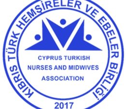 KTHEB: “Hemşire sayısındaki yetersizlik ciddi bir halk sağlığı sorunudur”