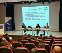 “AB’nin Yeşil Vizyonu: Politikadan Eyleme” başlıklı panel düzenlendi