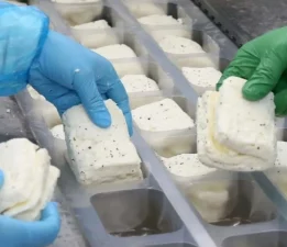 KKTC’de üretilen hellim Yeşil Hattan geçemiyor