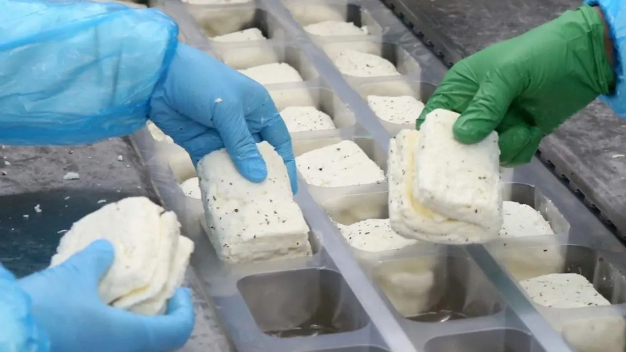 KKTC’de üretilen hellim Yeşil Hattan geçemiyor