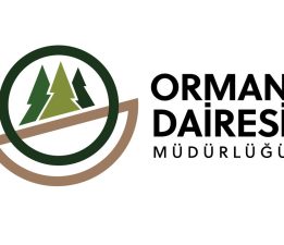 Orman Dairesi: Boğazköy’deki ağaç kesimi izinsiz yapıldı