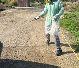 Çatalköy-Esentepe Belediyesi’nden şap hastalığına karşı üst düzey önlem