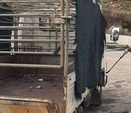 Erenköy-Karpaz Belediyesi, şap hastalığına karşı önleyici tedbirleri hayata geçirdi
