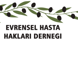 EHHD: “Halk sadece tedavi değil, onurlu, güvenli ve eşit erişilebilir sağlık hizmeti talep ediyor”