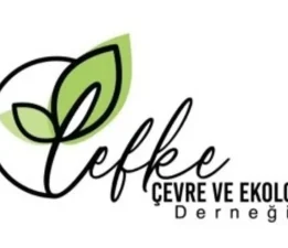 Lefke Çevre ve Ekoloji Derneği’nden başıboş köpeklerle ilgili acil çağrı