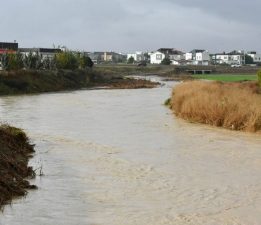 LTB Başkanı Harmancı: “Devlet hastanesi ve dere kenarları risk altında”