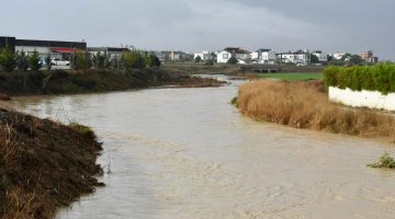 LTB Başkanı Harmancı: “Devlet hastanesi ve dere kenarları risk altında”