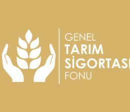 Büyükbaş hayvanlar için düşük tazminatı ödendi