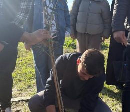 DAÜ Hemşirelik Bölümü son sınıf öğrencileri ağaç dikti