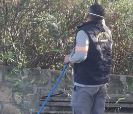 Mehmetçik Büyükkonuk Belediyesi: “Çam kese böceğine karşı mücadelemiz aralıksız sürüyor”