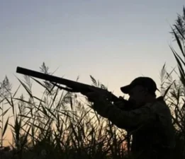 Bazı sivil toplum örgütleri, 1. İnce Av süresinin uzatılmasına ilişkin önergeyi eleştirdi