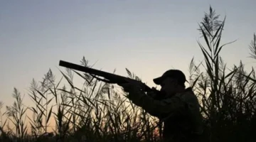 Bazı sivil toplum örgütleri, 1. İnce Av süresinin uzatılmasına ilişkin önergeyi eleştirdi