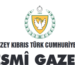 Sürüş sınavına erken giriş kararnamesi Resmi Gazete’de yayımlandı.