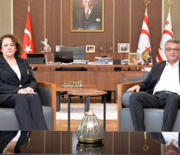 Cumhurbaşkanı Erhürman, KKTC Bakü Temsilcisi Turganer’i kabul etti