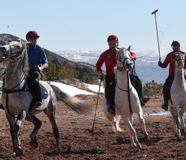 Binlerce yıllık atlı oyun çevgan, Sivas’ta yeniden hayat buldu