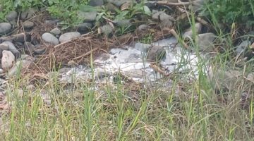 Lefke halkı çevre felaketi içinde