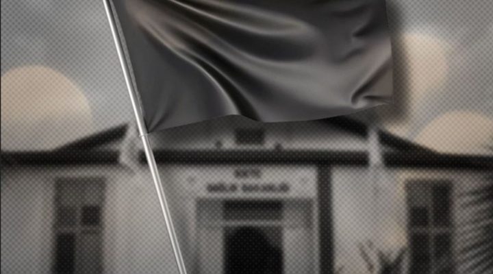 Hekim örgütleri Hükümeti istifaya, hekimleri hastanelere siyah bayrak asmaya çağırdı