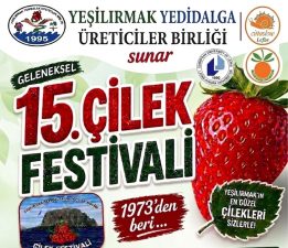 15. Çilek Festivali 9-10 Mayıs tarihlerinde yapılacak