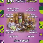 14. Mormenekşe Enginar Festivali hafta sonu yapılıyor