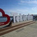 KARK'ın arama kurtarma köpeği Sebil, Tekirdağ’da bir enkaz çalışmasına katıldı