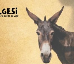 Baraka Tiyatro Ekibi’nin “Eşeğin Gölgesi” oyunu mayısta sahnelenecek