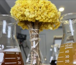 Bitkisel ürünlerin bilinçsiz kullanımı ciddi sağlık sorunlarına yol açabiliyor