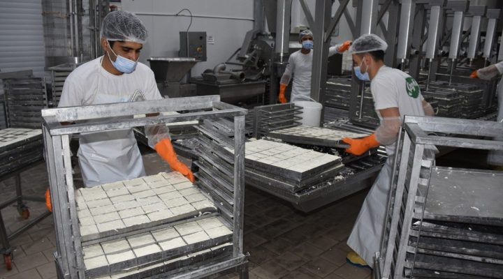 Hellim ihracatındaki engel kalkıyor