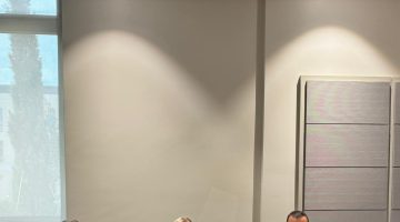 Hukuk, Siyasi İşler, Dışilişkiler ve Savunma Komitesi toplandı