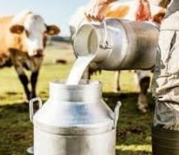 Süt bedelleri ödendi