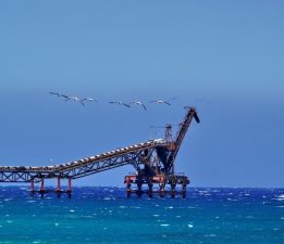 Lefke Çevre ve Ekoloji Derneği: “Çevre sorunları ertelenemez bir noktaya ulaştı. Acil ve somut adımlar atılmalı”