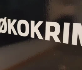 Norveç, Epstein ile bağlantılı eski diplomatların soruşturmasında Fransa ile işbirliği yapacak