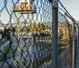 Halkın çoğunluğu çözümden yana