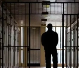 Suriye’de Esed’in kuzeni Necib’in yargılanmasına başlandı