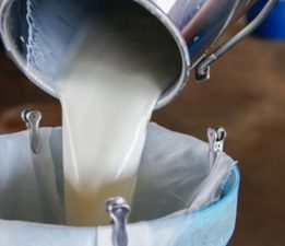 Süt bedelleri ödendi