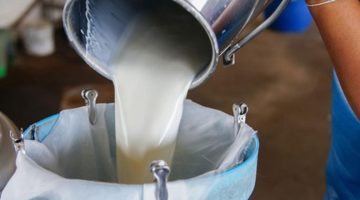 Süt bedelleri ödendi