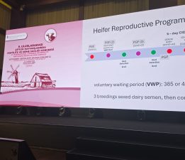 Tarım ve Doğal Kaynaklar Bakanı Çavuş: “Bilimsel çalışmalar ve yenilikçi yaklaşımlar hayvancılık sektörünün geleceği için yol gösterici”