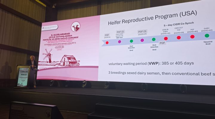 Tarım ve Doğal Kaynaklar Bakanı Çavuş: “Bilimsel çalışmalar ve yenilikçi yaklaşımlar hayvancılık sektörünün geleceği için yol gösterici”