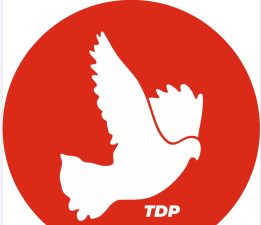 TDP: “112’de gönüllü çağrısı, Sağlık Bakanlığı’nın plansızlığının itirafıdır”