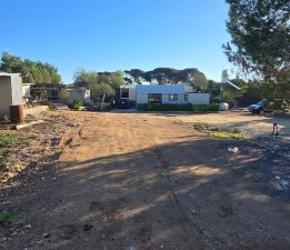 Diran’dan Yeniboğaziçi kamp alanı hakkında açıklama