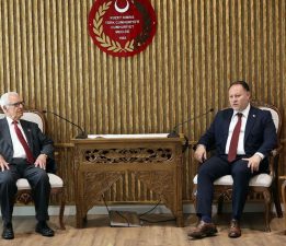 “Geçmişin karanlık sayfalarını yüceltme çabası”