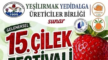 “15. Çilek Festivali” hafta sonu yapılıyor