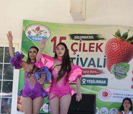 15. Geleneksel Yeşilırmak Çilek Festivali bugün düzenlenen törenle başladı