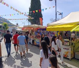 21. Kıbrıs İpek Koza Festivali yapıldı