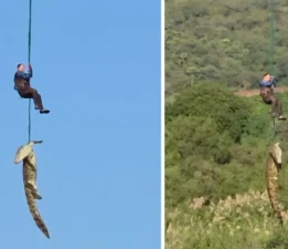Güney Afrika’da dev timsahın midesinden çıkan terliklerin kayıp vakalarıyla bağı araştırılıyor