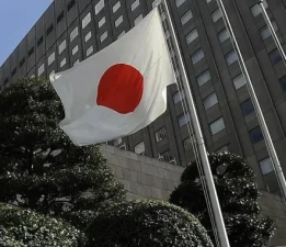 Japonya ve Güney Afrika, kritik mineral tedarik zincirlerini güçlendirecek