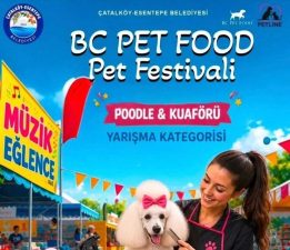 Alagadi’de evcil hayvanlar için festival düzenleniyor