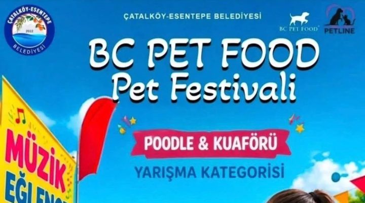 Alagadi’de evcil hayvanlar için festival düzenleniyor