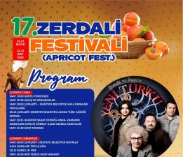 Çatalköy – Esentepe Belediyesi 17. Zerdali Festivali başlıyor