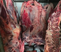 Hamitköy’de izinsiz ve sağlıksız koşullarda et kesen kişi ve ağıl sahibine ceza…